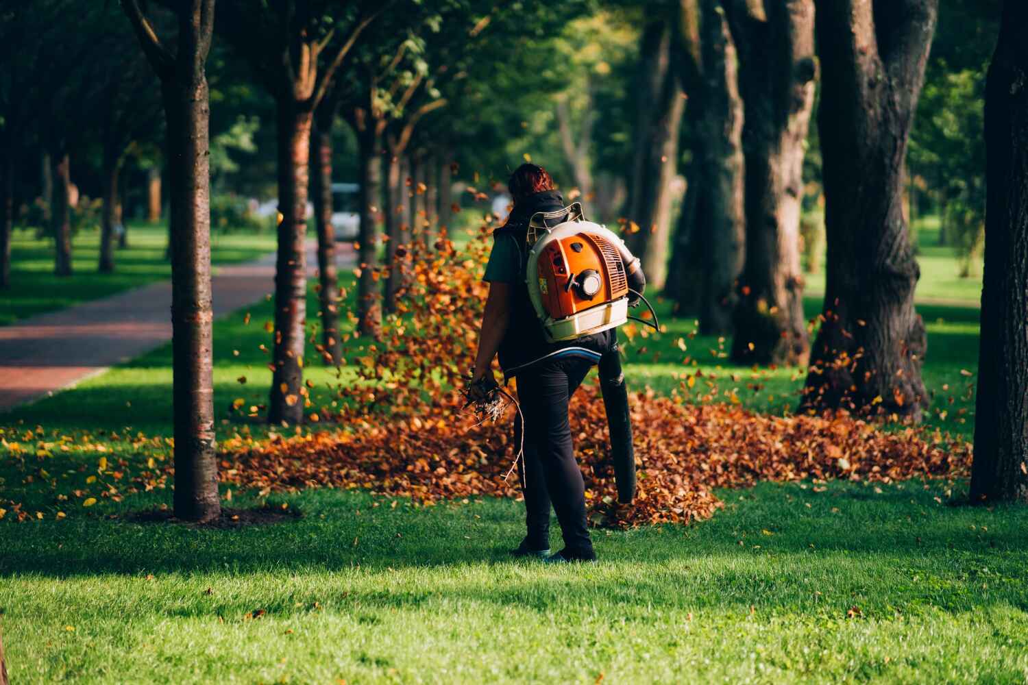 Trusted Hemlock, MI Tree Service Experts